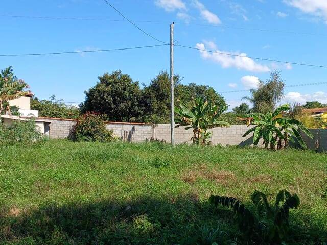 Venda em Cajuru - Pouso Alegre