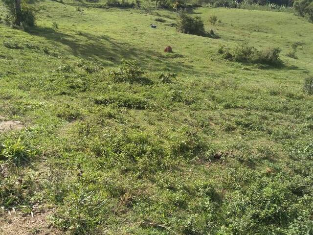 #8 - Chácara para Venda em Pouso Alegre - MG - 3