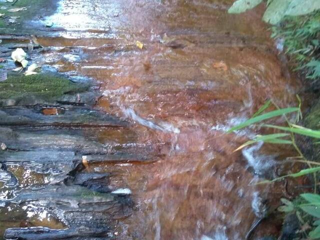 Chácara para Venda em Pouso Alegre - 4