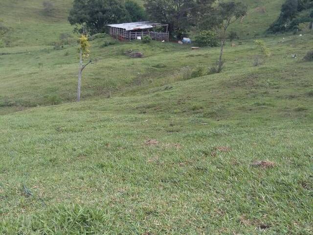 #8 - Chácara para Venda em Pouso Alegre - MG - 2