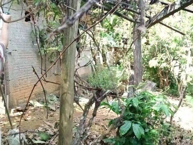 #10 - Chácara para Venda em Pouso Alegre - MG - 2