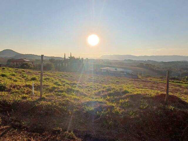 #11 - Chácara para Venda em Pouso Alegre - MG - 1