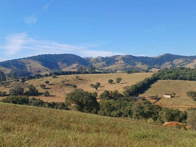 #14 - Chácara para Venda em Borda da Mata - MG - 3