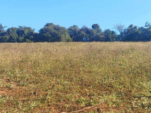 #14 - Chácara para Venda em Borda da Mata - MG - 1