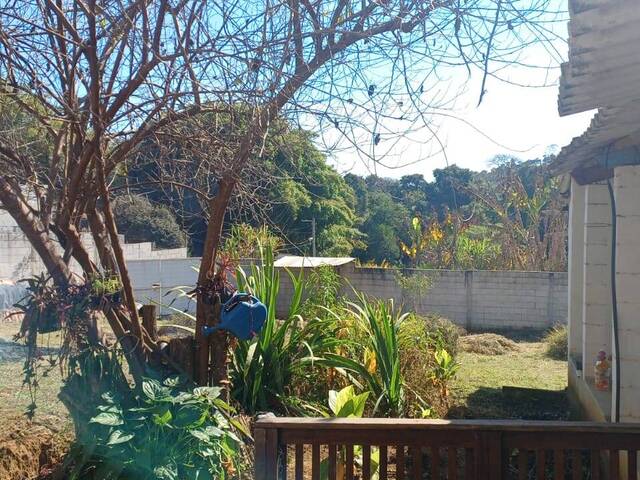 #15 - Chácara para Venda em Borda da Mata - MG - 1