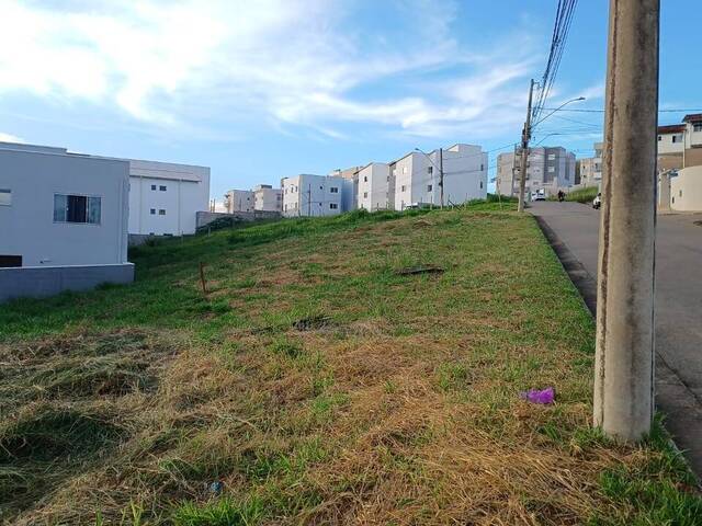 #22 - Área para Venda em Pouso Alegre - MG - 1