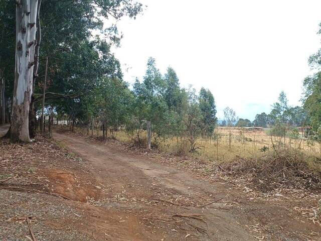 #35 - Chácara para Venda em Pouso Alegre - MG - 2