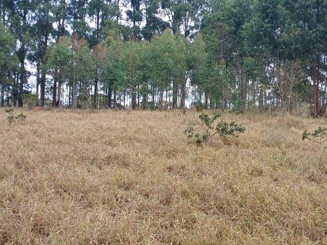 #35 - Chácara para Venda em Pouso Alegre - MG - 3