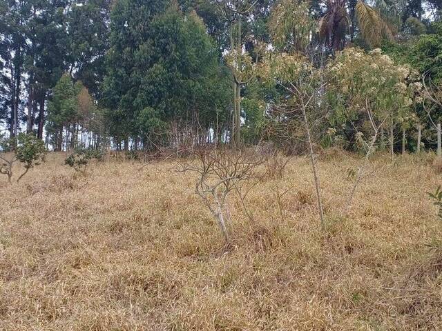 Chácara para Venda em Pouso Alegre - 5