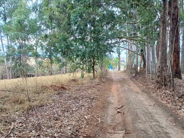 #35 - Chácara para Venda em Pouso Alegre - MG - 1
