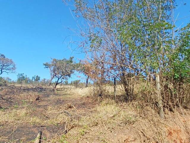 #36 - Área para Venda em Pouso Alegre - MG - 2