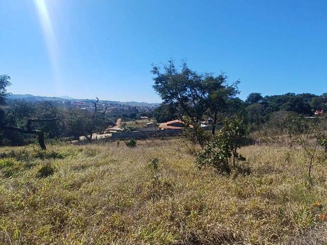 #36 - Área para Venda em Pouso Alegre - MG - 3