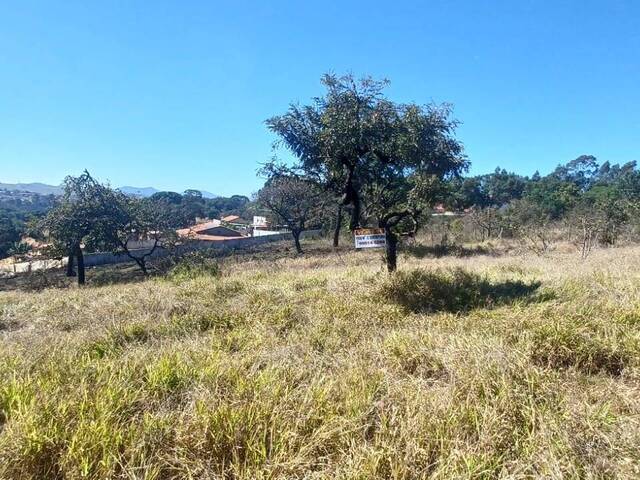 #36 - Área para Venda em Pouso Alegre - MG - 1