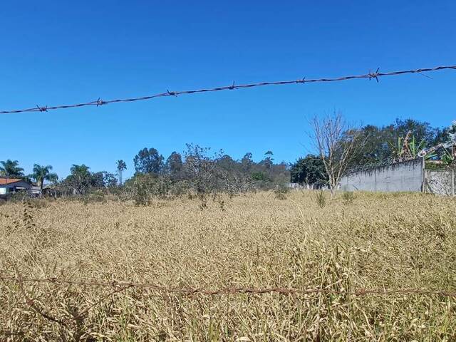 Chácara para Venda em Pouso Alegre - 4
