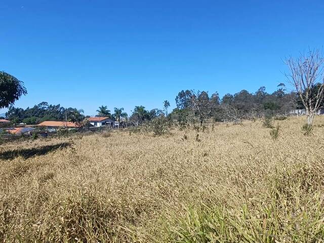 #38 - Chácara para Venda em Pouso Alegre - MG - 2