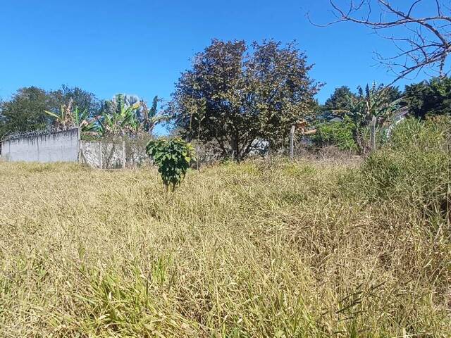 #38 - Chácara para Venda em Pouso Alegre - MG - 3