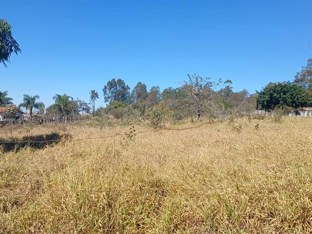 #38 - Chácara para Venda em Pouso Alegre - MG - 1