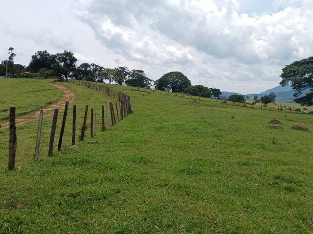 #45 - Chácara para Venda em Espírito Santo do Dourado - MG - 1