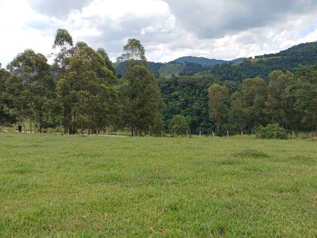 #45 - Chácara para Venda em Espírito Santo do Dourado - MG - 3