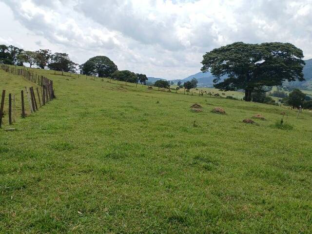 Chácara para Venda em Espírito Santo do Dourado - 4